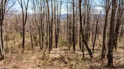 0 Bear Ridge