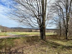 Lot 46 Idelman Run Lot 46 Woods End