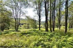 7 Refuge Lot 7 Sand Run Lake