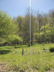 Lot 21 Hickory Flats